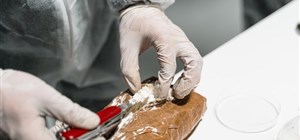 Cocaine Addiction – What are the Effects?