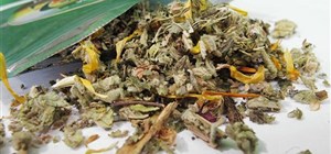 Sugar and Spice - Our Rehabilitation Centre discusses Synthetic Marijuana