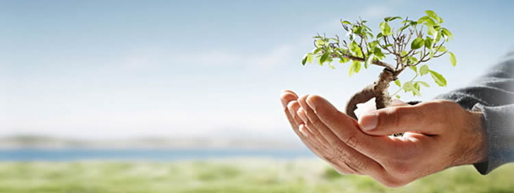 Drug rehab South Africa