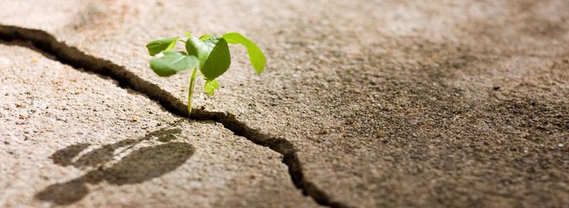 Hitting rock bottom - Rehabilitation centre South Africa