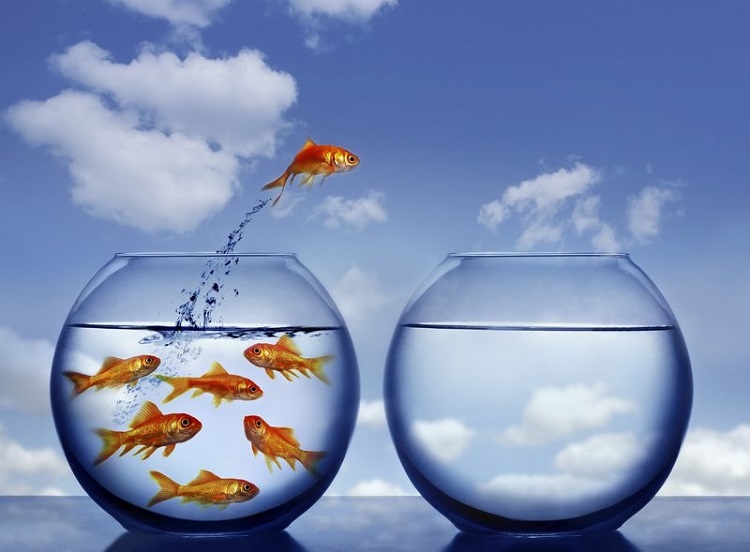 addiction recovery - rehabilitation centre South Africa